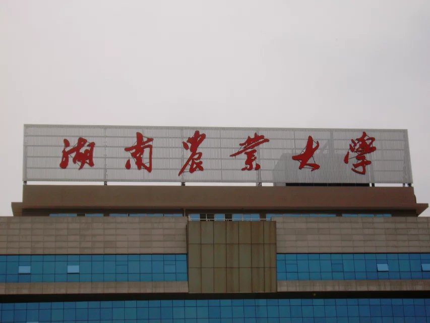 湖南農(nóng)大樓頂發(fā)光字